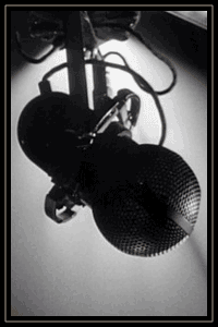 A microphone.